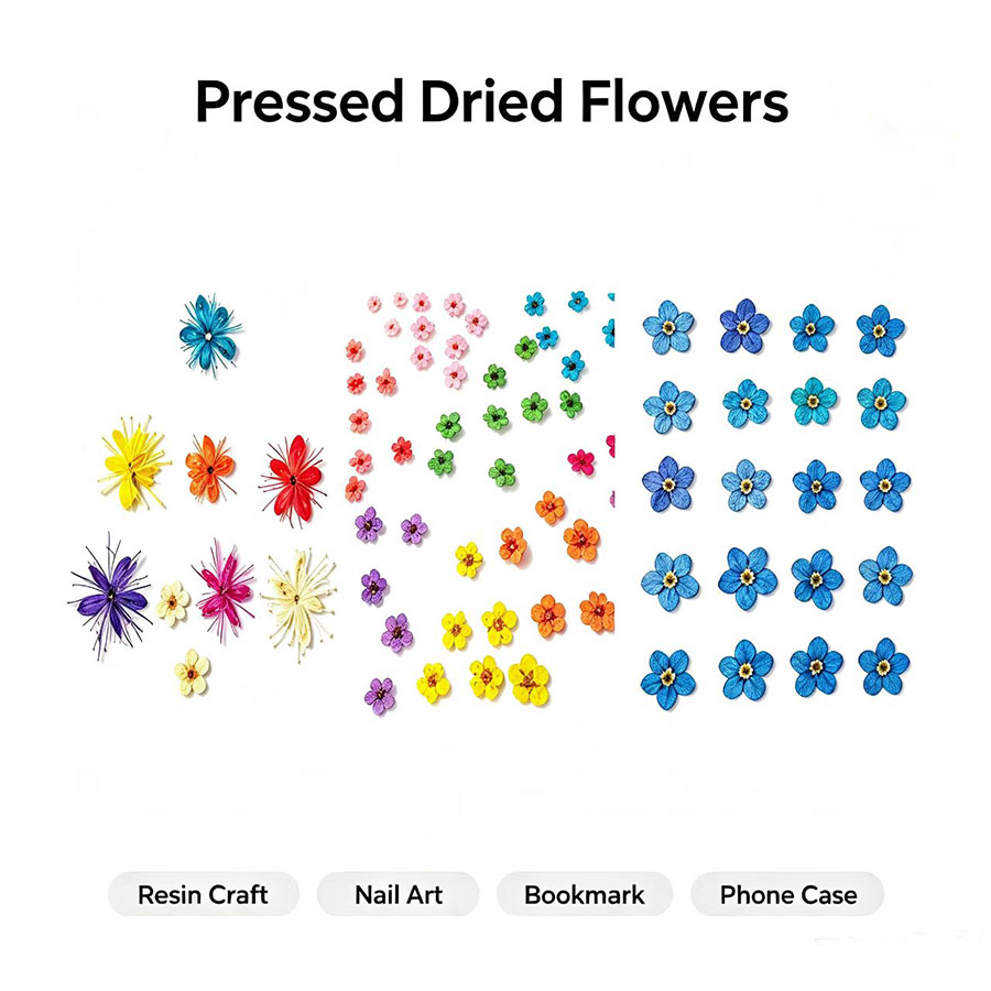 Resin Craft Ideas - 60 piezas de flores secas en