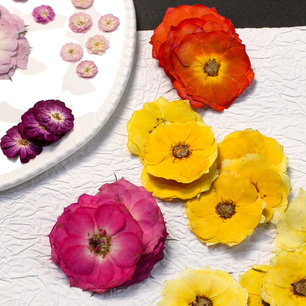 60 rosas reales de colores ama - Resin Craft Ideas reseña y precio