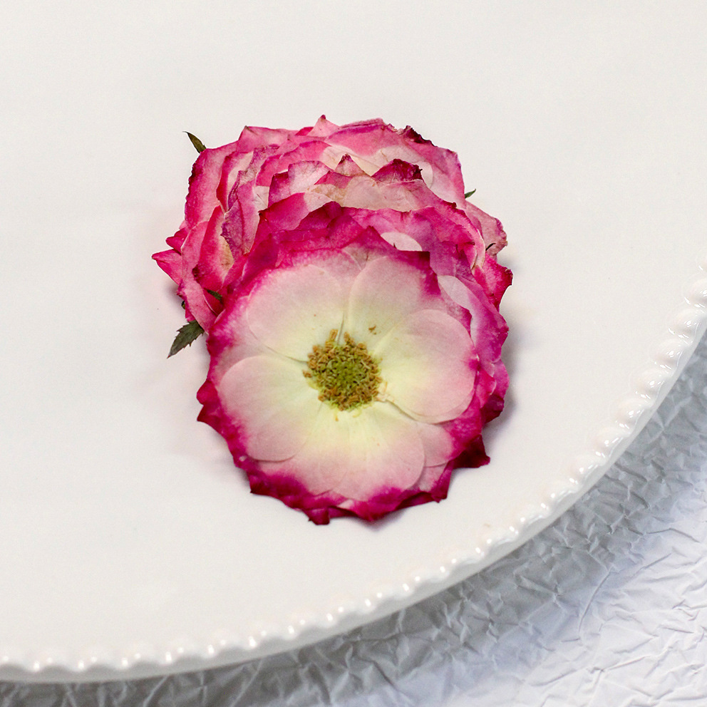 60 rosas reales de colores ama - Resin Craft Ideas reseña y precio