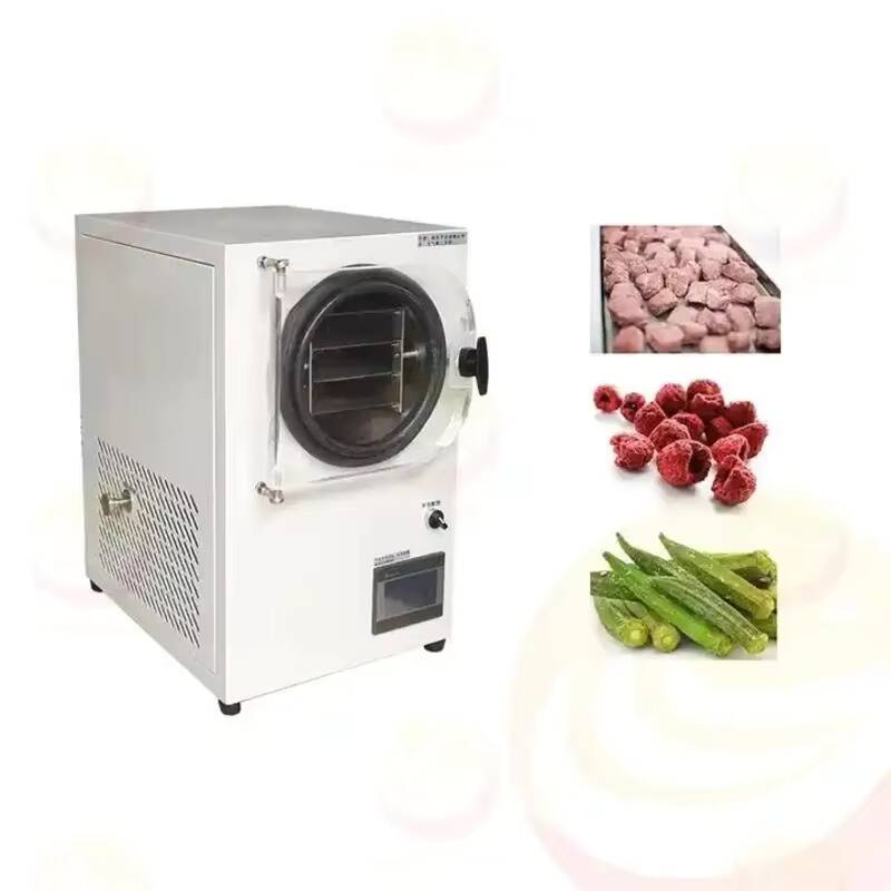 Máquina de liofilización, pequ - Vacuum Chamber Small reseña y precio