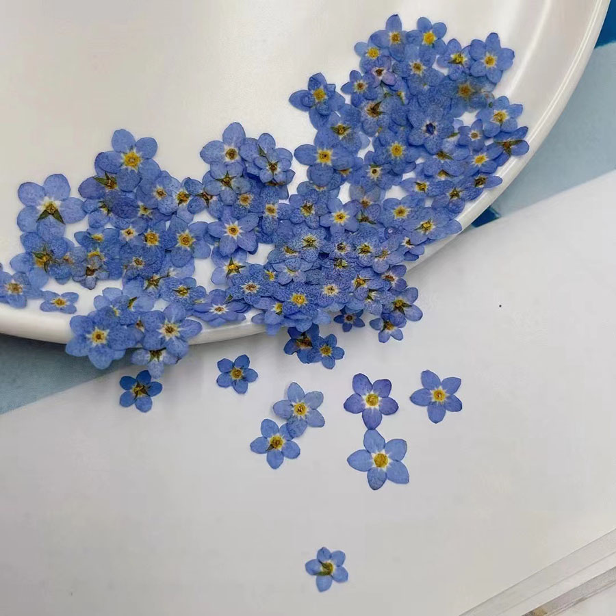 60 piezas de flores secas en m - Resin Craft Ideas reseña y precio